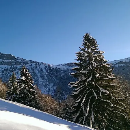 Ferienhaus Hager Mellau